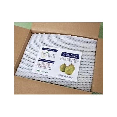 西洋梨(ラ・フランス)3kg　ご家庭用　0037-2506