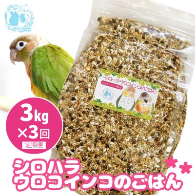 【3ヶ月定期便】fuu シロハラインコ・ウロコインコのごはん(3kg)[145S58-T]
