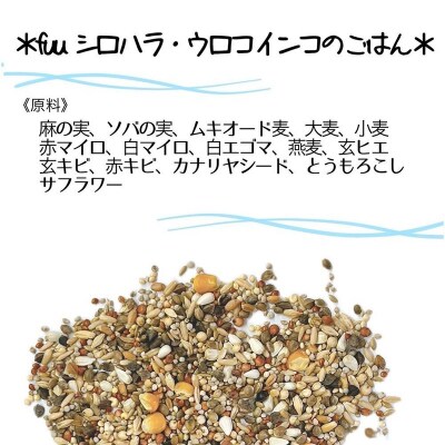 【3ヶ月定期便】fuu シロハラインコ・ウロコインコのごはん(3kg)[145S58-T]