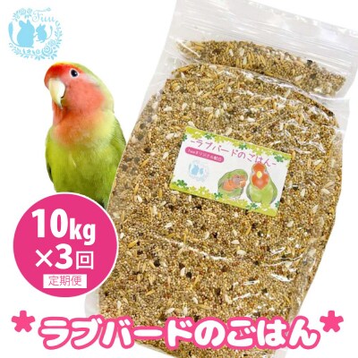【3ヶ月定期便】fuu ラブバードのごはん(10kg)[145S66-T]