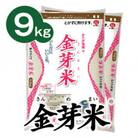 【12/15迄】【9kg】タニタ食堂の金芽米 4.5kg×2袋(無洗米)　金芽米計量カップ付
