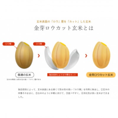 金芽米(無洗米) 4.5kg+金芽ロウカット玄米2kgセット　金芽米計量カップ付