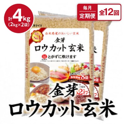 【毎月定期便】金芽ロウカット玄米4kg(2kg×2袋)ふっくら柔らかい美味しさ!全12回