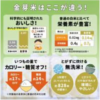 【毎月定期便】タニタ食堂の金芽米 4.5kg×1袋(無洗米)金芽米計量カップ付全6回