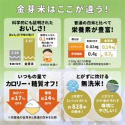 【毎月定期便】【9kg】タニタ食堂の金芽米 4.5kg×2袋(無洗米)　金芽米計量カップ付全12回