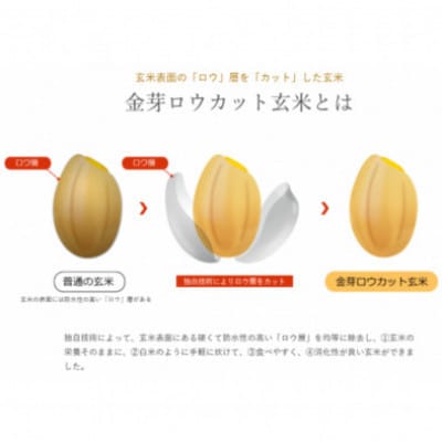 【毎月定期便】金芽ロウカット玄米4kg(2kg×2袋)ふっくら柔らかい美味しさ!全4回