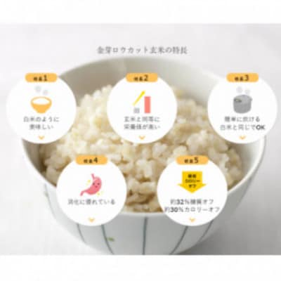 【毎月定期便】金芽ロウカット玄米4kg(2kg×2袋)ふっくら柔らかい美味しさ!全5回