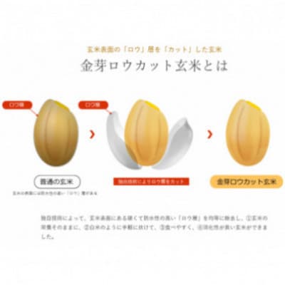 【毎月定期便】金芽ロウカット玄米4kg(2kg×2袋)ふっくら柔らかい美味しさ!全5回
