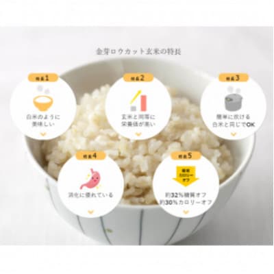 【毎月定期便】金芽ロウカット玄米4kg(2kg×2袋)ふっくら柔らかい美味しさ!全6回