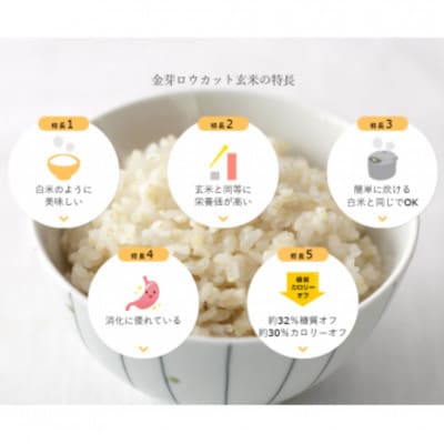 【毎月定期便】金芽ロウカット玄米 8kg(2kg×4袋)ふっくら柔らかい美味しさ!全4回