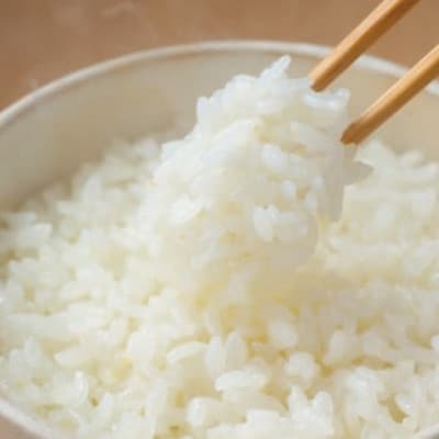 【毎月定期便】【4.5kg】金芽米 4.5kg×1袋(無洗米)　金芽米計量カップ付全4回