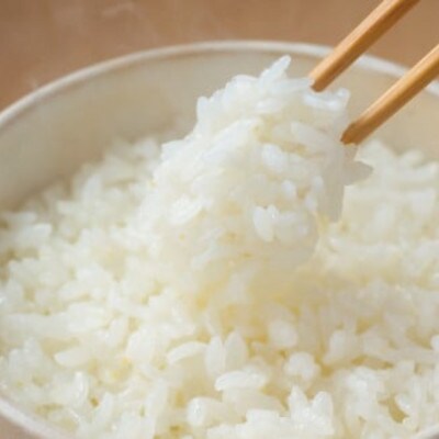 【毎月定期便】【4.5kg】金芽米 4.5kg×1袋(無洗米)　金芽米計量カップ付全6回