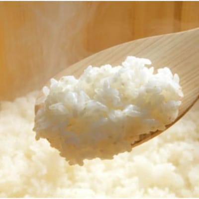 【2ヵ月毎定期便】【4.5kg】金芽米 4.5kg×1袋(無洗米)　金芽米計量カップ付全3回