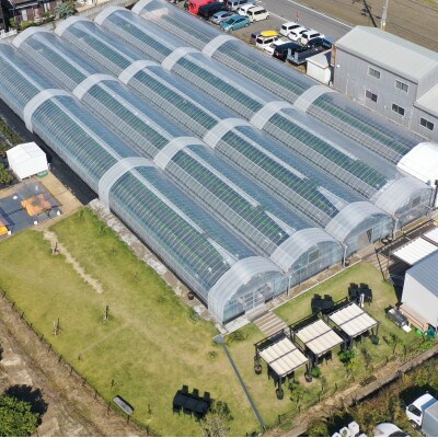 【土日祝限定】食べ放題!いちご収穫体験ペアチケット Refarm YOSHIMI 370