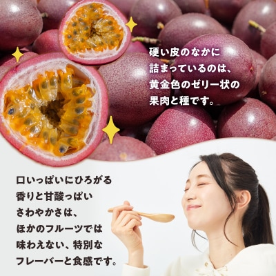 【ご家庭用】山下農園のパッションフルーツ3キロ