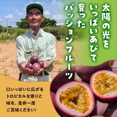 【ご家庭用】山下農園のパッションフルーツ3キロ