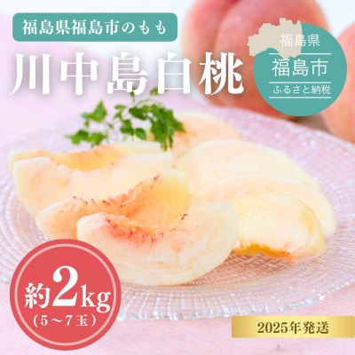 もも 川中島白桃 約2kg【2025年発送】No.1689