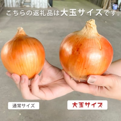 【あさひサンファーム】【大玉 5kg】ひょうご安心ブランド★特別栽培★淡路島たまねぎ