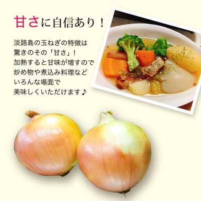 【あさひサンファーム】【大玉 10kg】ひょうご安心ブランド★特別栽培★淡路島たまねぎ