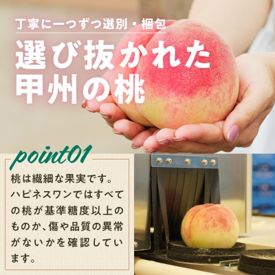 【2025年 先行受付】 山梨県産　旬の朝採れ特選大玉もも 2.0kg以上(5～6玉)