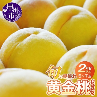【2025年 先行受付】山梨県産　旬の朝採れ黄金桃 2.0kg以上(5～7玉)