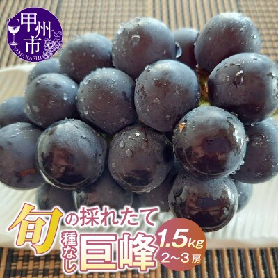 山梨県産　旬の採れたて種無し巨峰1.5kg(2～3房)