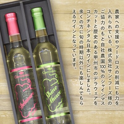 Premiumワインギフト(白)飲み比べ500ml×2本　シャインマスカットワイン2022・2023