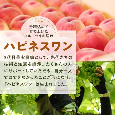 【2025年先行受付】山梨県産　旬の採れたてブラックビート 1.1kg以上(2～3房)