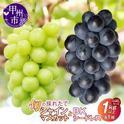 【2025年先行受付】お試しセット!旬の採れたてシャインマスカット&BKシードレス　1.0kg以上