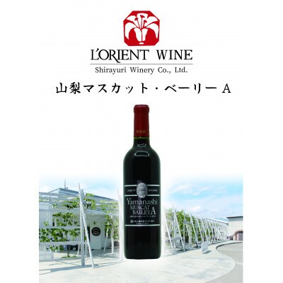 白百合醸造 ロリアン山梨マスカット・べーリーA