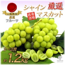 甲州市産 厳選 シャインマスカット約1.2kg(2～3房)