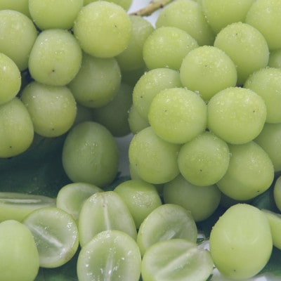 甲州市産　厳選　シャインマスカット約1.2kg(2～3房)