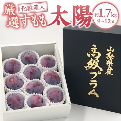 【2025年先行受付】山梨県甲州市産 すもも『太陽』約1.7kg(化粧箱9～12玉)