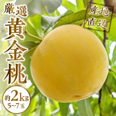 【2025年先行受付】山梨県甲州市産 厳選 黄金桃 約2kg(5～7玉)