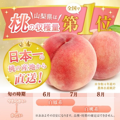 【2025年先行受付】山梨県甲州市産 厳選!桃と黄金桃の食べ比べセット 約2kg(4～6玉)