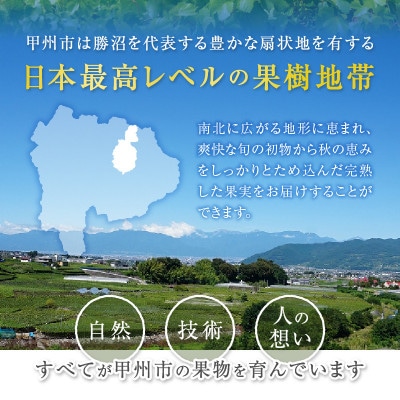 【2025年先行受付】山梨県甲州市産 厳選!桃と黄金桃の食べ比べセット 約2kg(4～6玉)