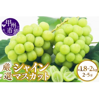 【2025年先行受付】山梨県甲州市産 厳選 シャインマスカット 約1.8～2kg(2～5房)