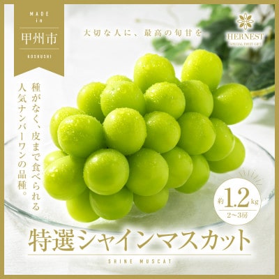 甲州市産 特選シャインマスカット 2～3房 約1.2kg