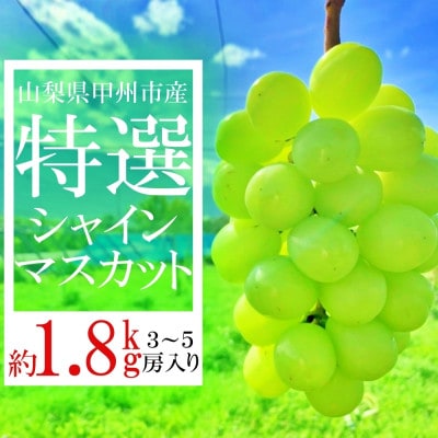 甲州市産 特選シャインマスカット 3～5房 約1.8kg