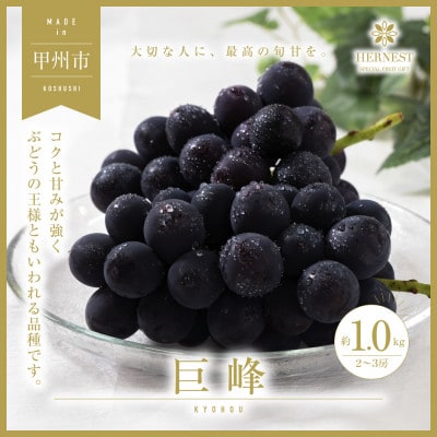 甲州市産 巨峰 2～3房 約1kg【2025年発送】
