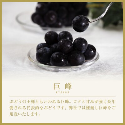 甲州市産 巨峰 2～3房 約1kg【2025年発送】