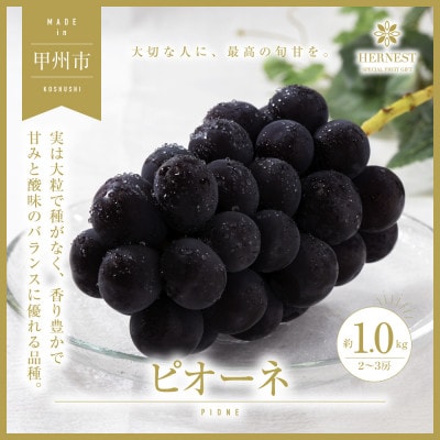 甲州市産 旬の採れたて ピオーネ 2～3房 約1kg