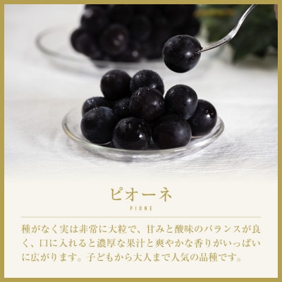 甲州市産 旬の採れたて ピオーネ 2～3房 約1kg