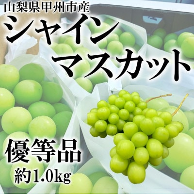 山梨県甲州市産シャインマスカット　優等品　2～3房　計約1kg