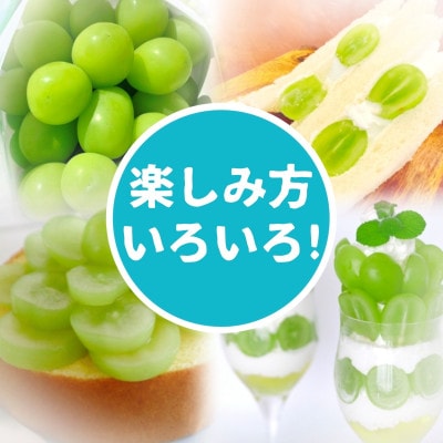 山梨県甲州市産シャインマスカット　優等品　2～3房　計約1kg