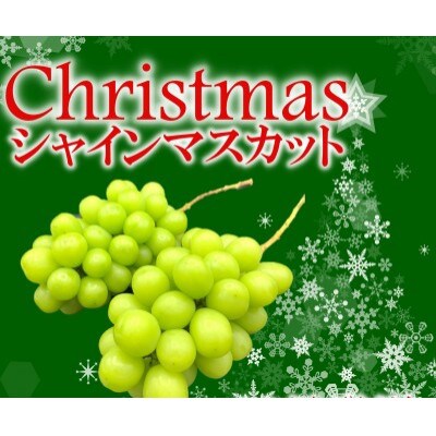2025年先行予約冬季限定!!山梨県甲州市産　クリスマスシャインマスカット　2～3房　計約1.0kg