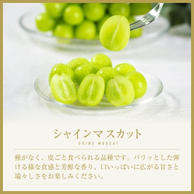 山梨県甲州市産　旬の採れたてシャインマスカット　秀等品　約5kg(8～11房)