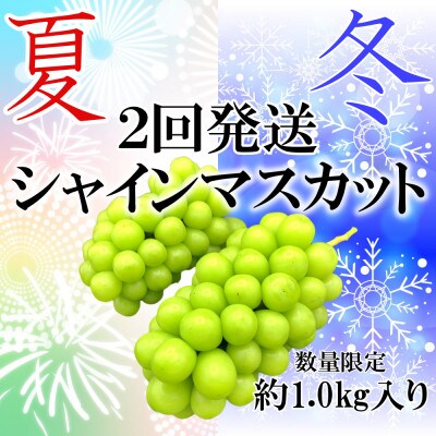 【発送月固定定期便】【夏冬の2回発送】甲州市産シャインマスカット定期便 約1.0kg全2回