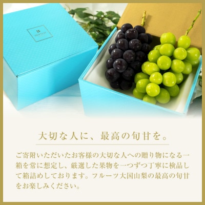 【発送月固定定期便】【夏冬の2回発送】甲州市産シャインマスカット定期便 約1.0kg全2回
