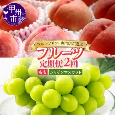 【発送月固定定期便】フルーツギフト専門店が選ぶ甲州市の厳選フルーツ定期便　全2品種全2回